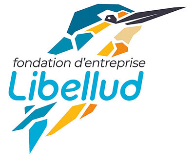 Logo fondation Libellud